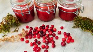 Клюква перетертая с сахаром без варки на зиму