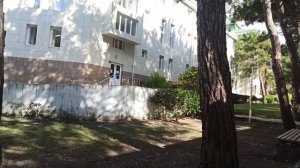 Санаторий им Ломоносова, обзор Территории санатория. Геленджик, 21.10.2022