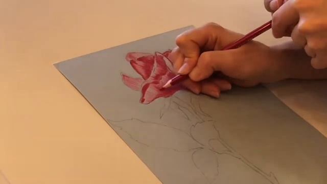 Рисовать цветы.Роза.Пошагово.Цветными карандашами.Для Начинающих. Рисуем с подростком с дцп. смотреть онлайн