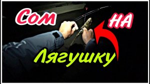 Сом на лягушку ловля на донку ночью. Рыбалка в Астрахани.