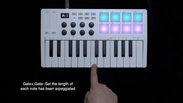 SMK-25 MIDI Keyboard Arpeggiator Function