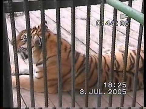 Красноярск 2005 смотреть онлайн