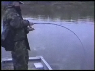 Волжские сомы. Ловля сома на спиннинг. Euro-som.de...