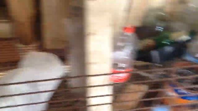 Зимнее содержание кроликов на даче смотреть онлайн