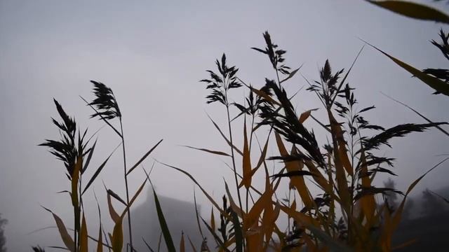 "Мне нравится, что вы больны не мной" мое исполнение смотреть онлайн