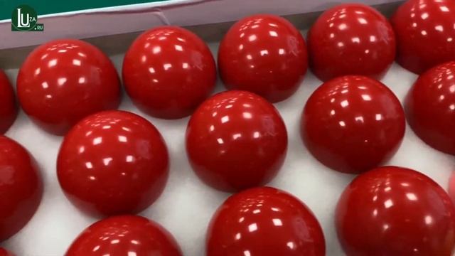 Бильярдные шары Standard Snooker 52,4мм - Luza.ru смотреть онлайн
