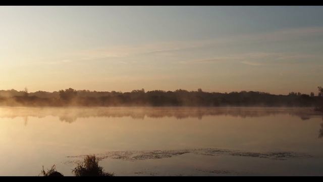ЖЁСТКО НАКАЗАЛ ШАЛ ВУ ЖЕНУ И ЕЁ НАЧАЛЬНИКА | Интересные истории из жизни | Жизненные истории смотреть онлайн