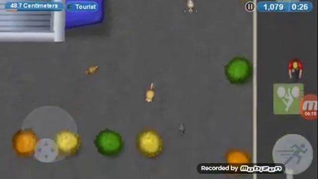 Съедобная планета роба кошка смотреть онлайн