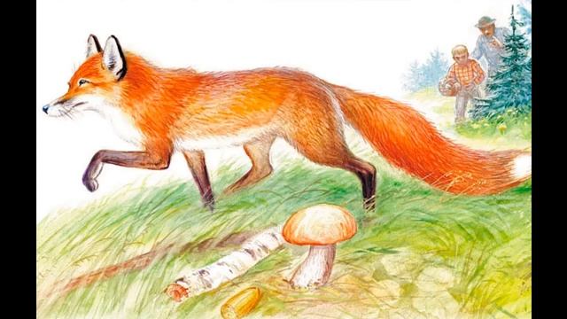 "Бешеный бельчонок" Рассказ В. Бианки. Аудио рассказ с картинками. смотреть онлайн