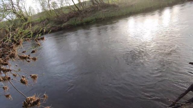 Рыбалка на голавля в мае смотреть онлайн