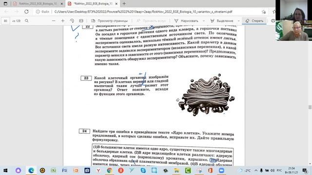 Пятое заседание по вариантам 6 -10 сборника Рохлова 2022 смотреть онлайн