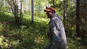 ОХОТА на МЕДВЕДЯ в Башкирии