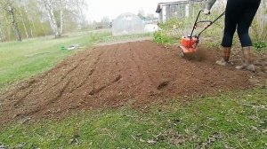 Культиватор патриот денвер  в работе.