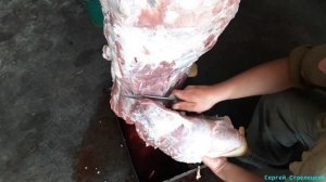 Разделка туши свиньи!