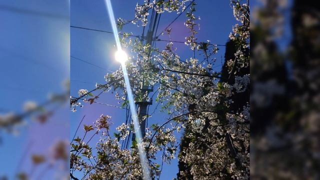 семьсот семь - снится (speed up) смотреть онлайн