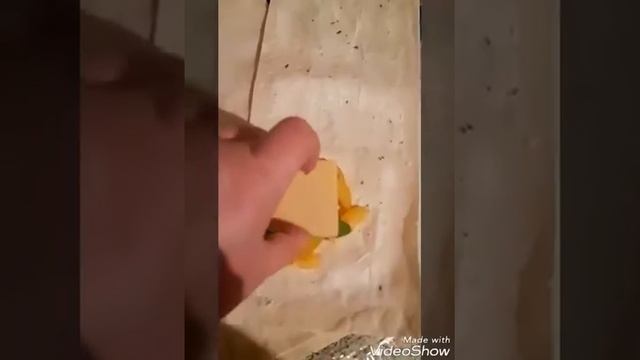 Сэндвичи из лаваша смотреть онлайн