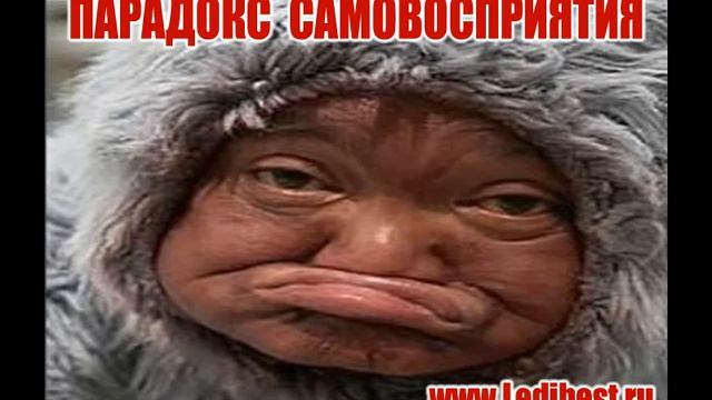 ПАРАДОКС САМОВОСПРИЯТИЯ смотреть онлайн