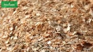 Вся правда об опилках: ОПИЛКИ В ОГОРОДЕ  ПОЛЬЗА ИЛИ ВРЕД???