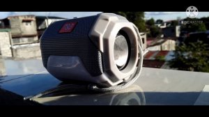 t&g 162 bass test pasha es song