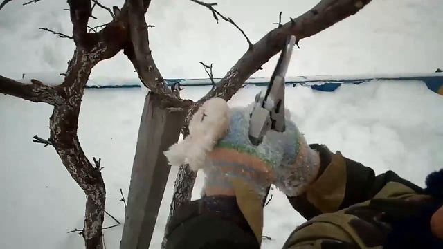 Обрезка деревьев на детской площадке часть 2 смотреть онлайн