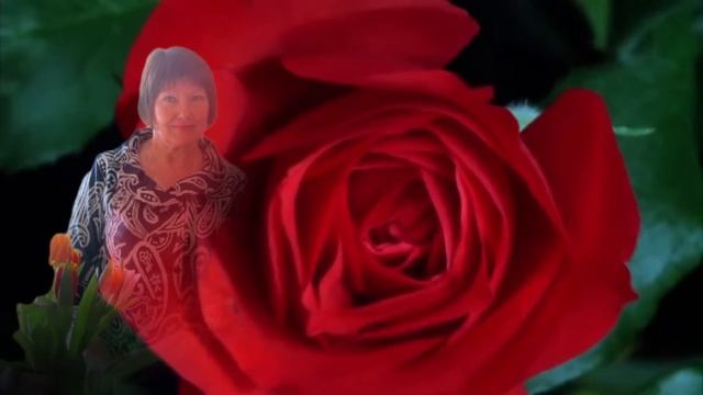 С Днем рождения, Люба! смотреть онлайн