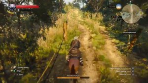 Прохождение The Witcher: Wild Hunt #4.Эльфийские Руины