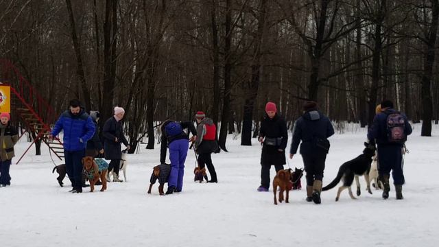 Сокольники смотреть онлайн