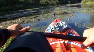 Рыбалка с сапборда на щуку в траве