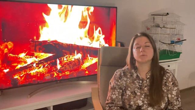 90 дней до Нового года. Вступление. Подарки, украшение, традиции. смотреть онлайн