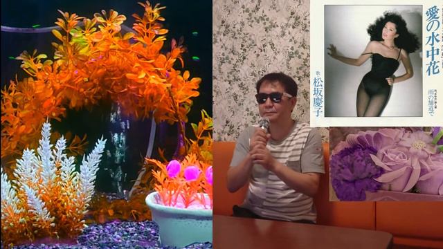 松坂慶子さんの「愛の水中花」歌いました👨🎤 byアクア смотреть онлайн