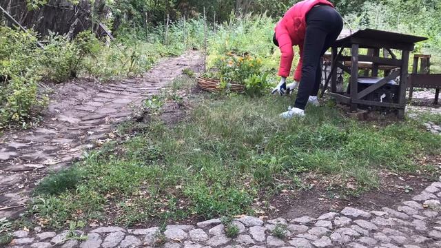 Убираю сорняк и подготавливаю почву под цветы. Time Laps смотреть онлайн