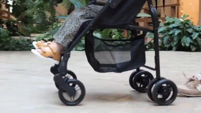 Прогулочная коляска Happy Baby Eva смотреть онлайн