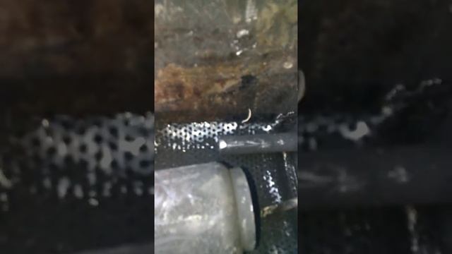 чистка глушителя скутера. ходна джорно ) режем чистим варим. смотреть онлайн