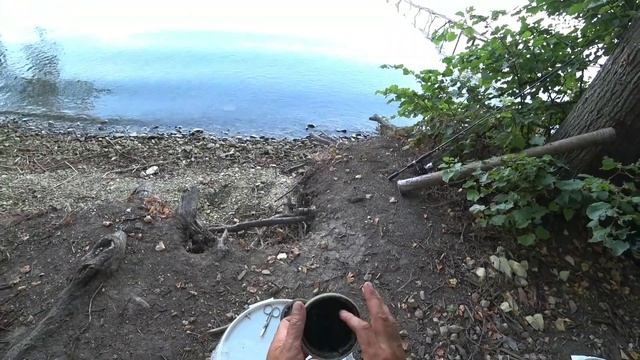 Проверяю раколовки. Сдаю самую лучшую прикормку на рака. Такого улова я не ожидал!! смотреть онлайн