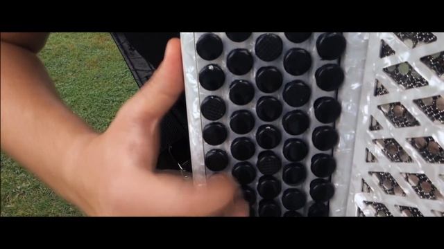 Visvaldis - Андрей Данской (баян,аккордеон) смотреть онлайн