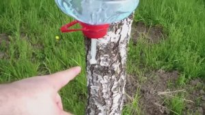 ПРОСТОЙ РУЧНОЙ УМЫВАЛЬНИК ИЗ ПЛАСТИКОВОЙ БУТЫЛКИ, САМЫЙ ПРОСТОЙ СПОСОБ,.mp4