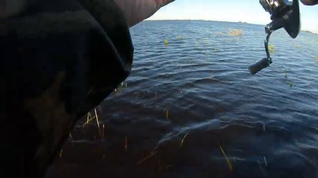 Ловля щуки в траве на незацепляйки , весной 26.05.2021.Блесна Rapala Minnow Spoon незацепляйка. смотреть онлайн