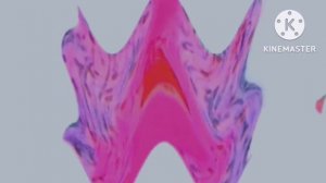 Спокойной ночи малыши In F Major