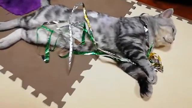 НАРЯЖАЕМ МИККИ🎄 смотреть онлайн