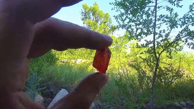 Камень вот какой 9 смотреть онлайн