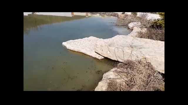 самая дешёвая очистка пруда смотреть онлайн