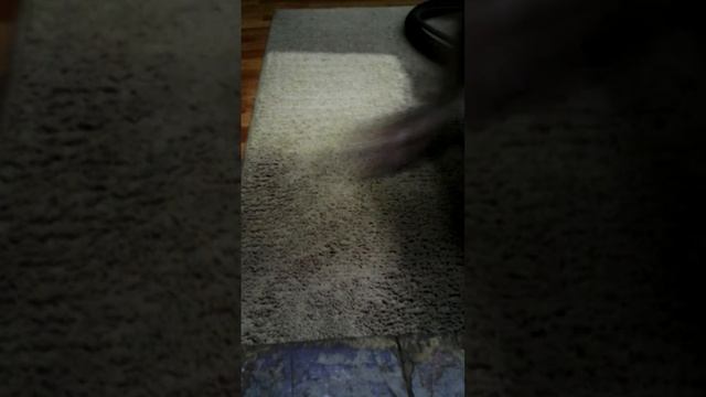 Чистка ковра