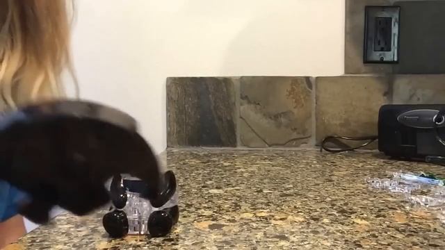 Original 3D Crystal Panda Puzzle смотреть онлайн