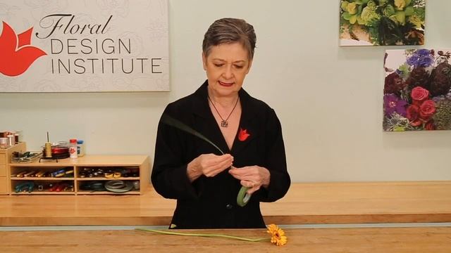 Wiring a Gerbera смотреть онлайн