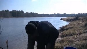 Рыбалка на язя. На что его ловить!