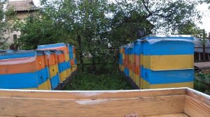 Сублиматор для щавелевой кислоты. Первая обработка