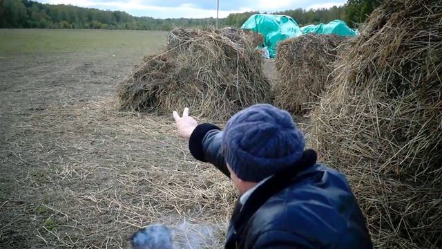 Не много о кино ~ Актёр Алексей Шевченков смотреть онлайн