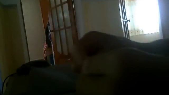 самая хитрая шпаргалка смотреть онлайн