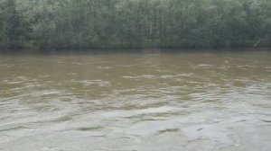 река Хор поселок Бичевая 2016