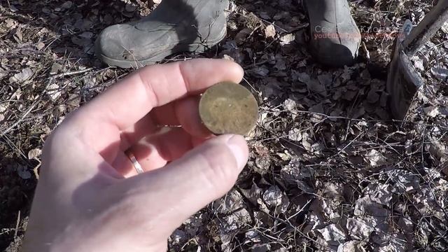 Поиск монет Беркут 5 царские монетки в лесу смотреть онлайн